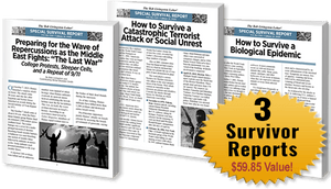 Global Epidemic: 3 Survivor Reports